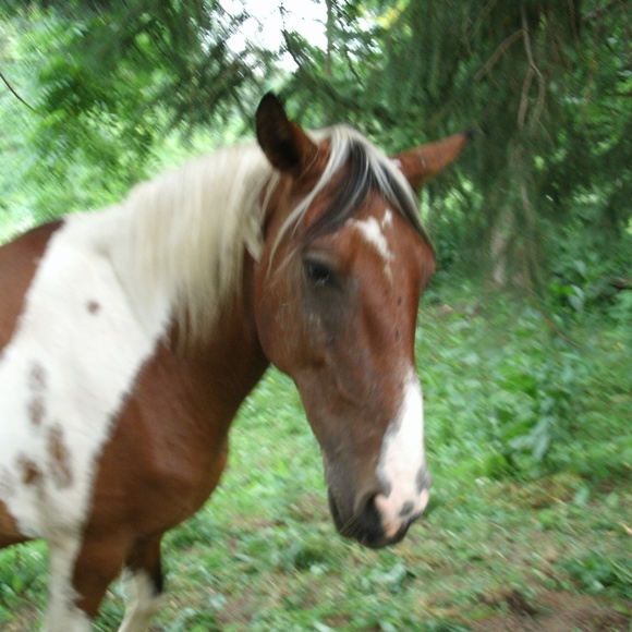 Hello everyone! I'm Kirin! - Picture 3 of 13